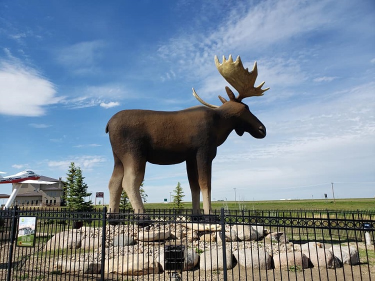 Another notoriously fun weekend in Moose Jaw! Local news, Weather Another notoriously fun weekend in Moose Jaw! Local news, Weather